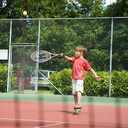 Camping Vakantiecentrum De Ullingse Bergen Sint Anthonis
