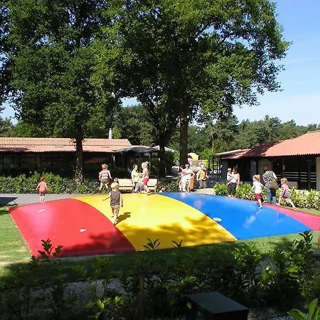אתר קמפינג Vakantiecentrum De Ullingse Bergen Sint Anthonis