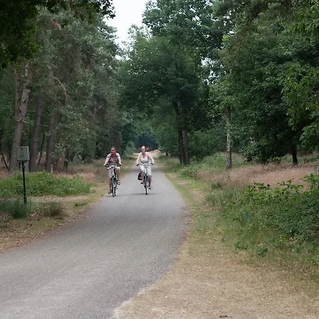 Camping Vakantiecentrum De Ullingse Bergen Sint Anthonis