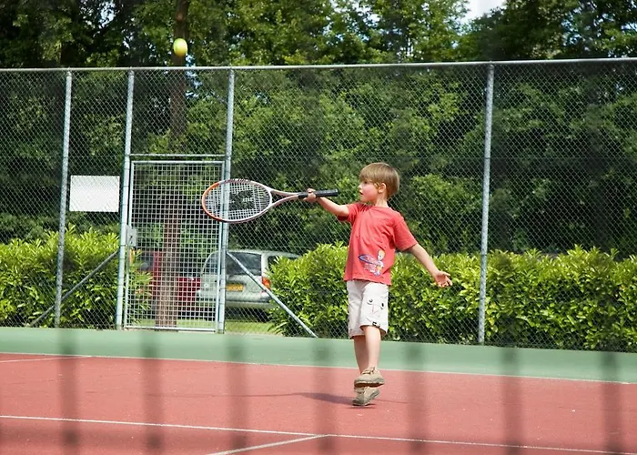 Campsite Vakantiecentrum De Ullingse Bergen Sint Anthonis