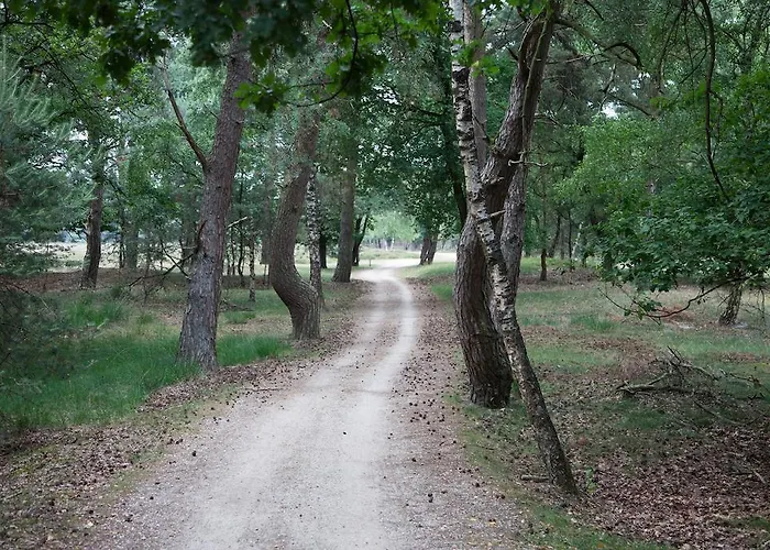 Kemping Vakantiecentrum De Ullingse Bergen