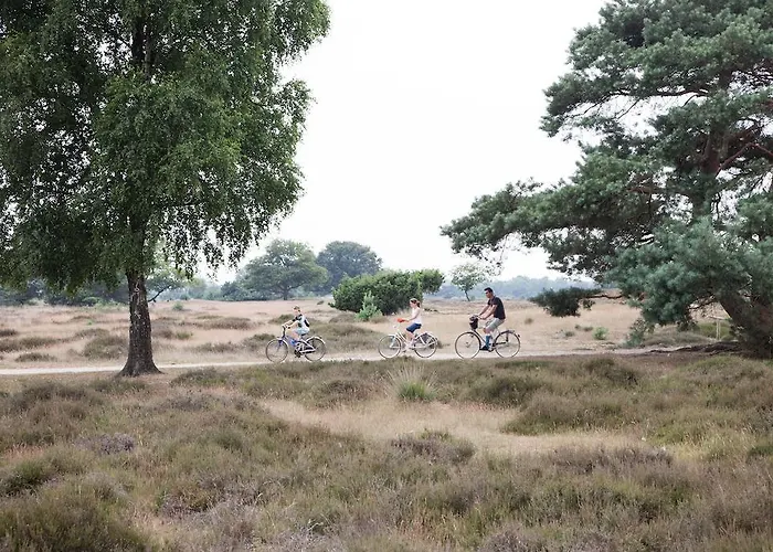 Campsite Vakantiecentrum De Ullingse Bergen 3*