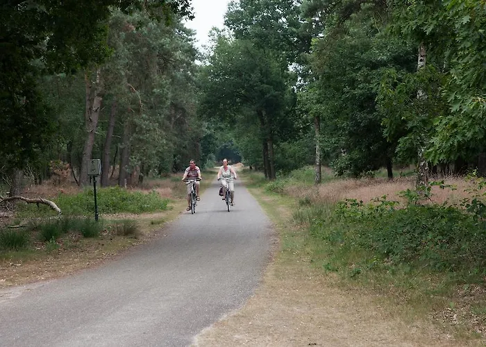 Campsite Vakantiecentrum De Ullingse Bergen Sint Anthonis